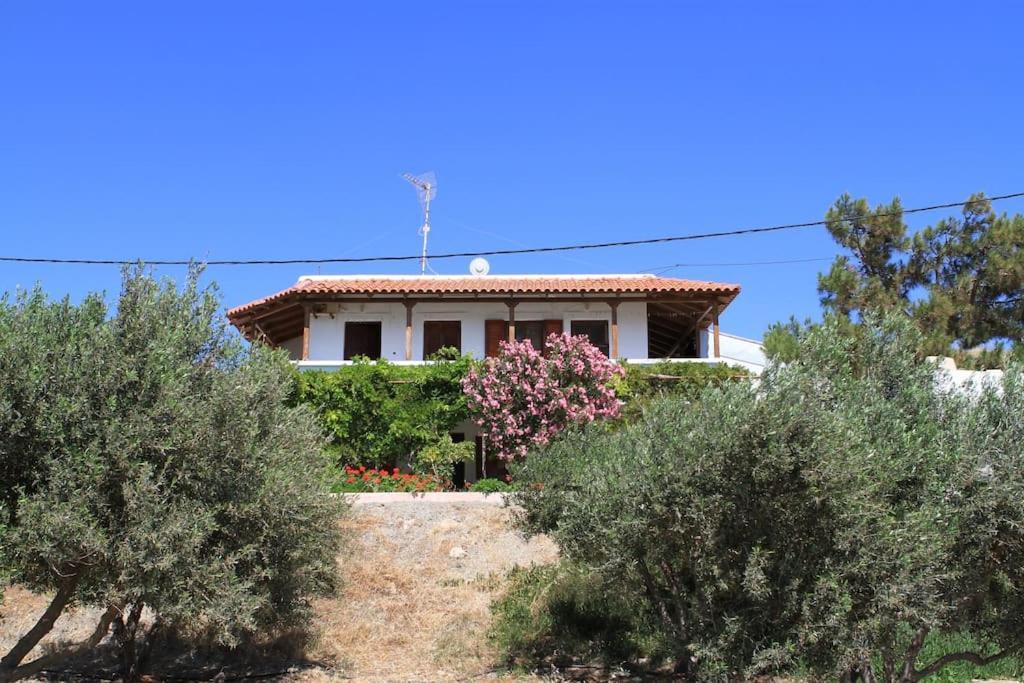 Traditional Olive House Makrýgialos Esterno foto